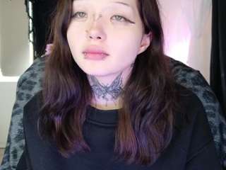 leinfis