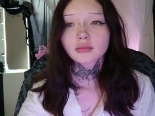 Leinfis's cam show statistics and live stream