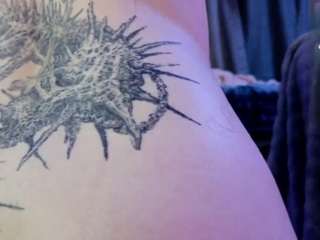 leinfis