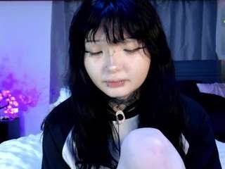 leinfis