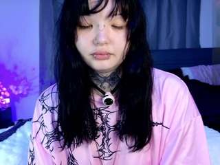 leinfis live cam preview