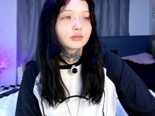 leinfis live cam preview