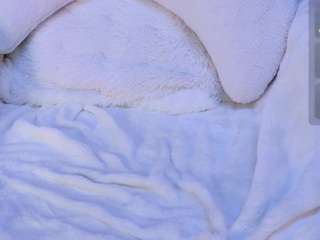 le modèle leinfis est en webcam porno dans un show sur le site camsoda, il possède les tags suivants: black hair,deepthroat,smoking,orgasm,no drinking,nipple piercings,tattoos,hazel eyes,full nudity,fuck machine,fingering,facial piercings,dildo or vibrator,petite,small tits,squirt,hd
