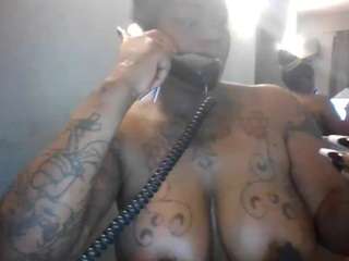 stalliontheesavage webcam