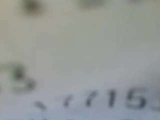 stalliontheesava... Live Webcam on {site_name}