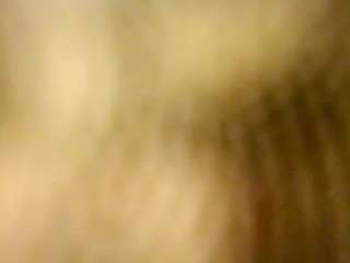 stalliontheesava... Live Webcam on {site_name}