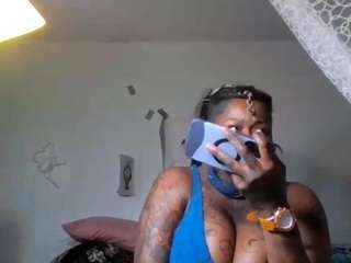 stalliontheesava... Live Webcam on {site_name}