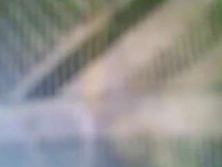 stalliontheesavage webcam