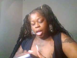 stalliontheesavage webcam