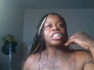 stalliontheesavage webcam