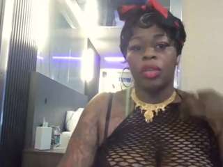 stalliontheesavage webcam