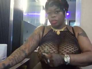 stalliontheesavage webcam