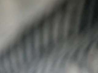 stalliontheesavage webcam