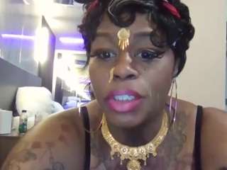 stalliontheesavage webcam