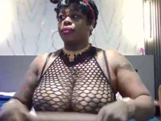 stalliontheesavage webcam