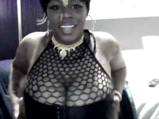 stalliontheesavage webcam