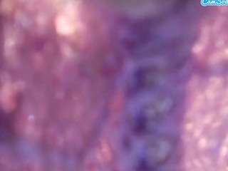 stalliontheesava... Live Webcam on CamSoda