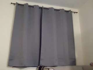 stalliontheesavage webcam