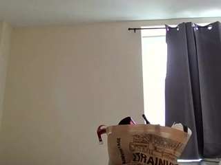 stalliontheesavage webcam