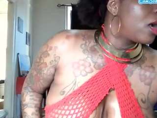 stalliontheesavage webcam