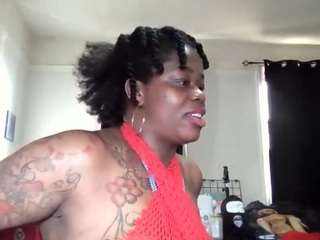 stalliontheesavage webcam