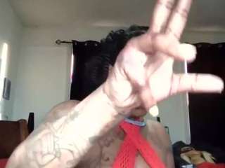 stalliontheesavage webcam