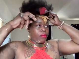 stalliontheesavage webcam