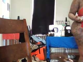 stalliontheesavage webcam