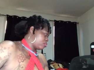 stalliontheesavage webcam