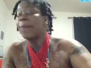 stalliontheesavage webcam