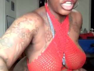 stalliontheesavage webcam