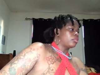 stalliontheesavage webcam