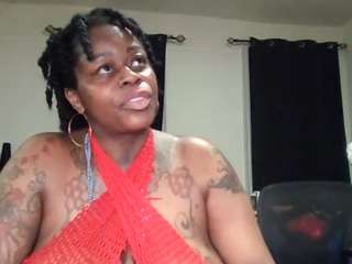 stalliontheesavage webcam