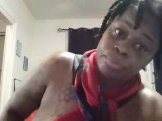 stalliontheesavage webcam