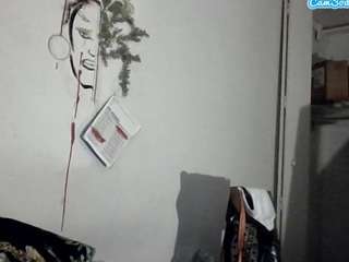 stalliontheesavage webcam