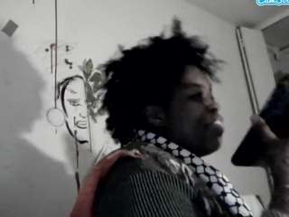 stalliontheesavage webcam