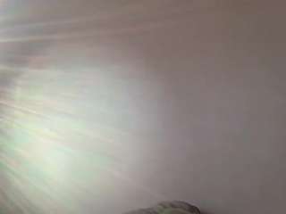 stalliontheesavage webcam