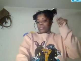 stalliontheesavage webcam