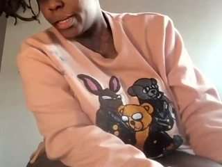 stalliontheesavage webcam