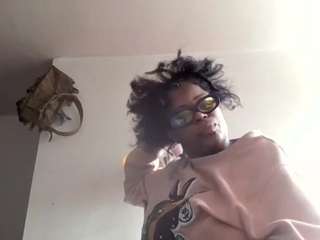 stalliontheesavage webcam