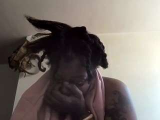 stalliontheesavage webcam