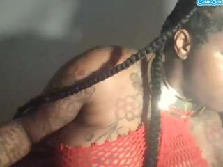 stalliontheesavage webcam