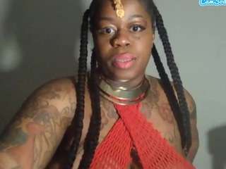 stalliontheesavage webcam