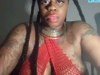 stalliontheesavage webcam