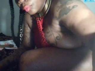 stalliontheesavage webcam model