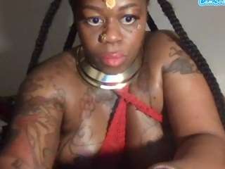 stalliontheesavage webcam