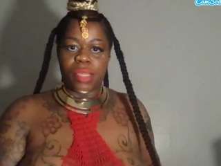 stalliontheesavage webcam