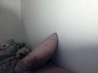 stalliontheesavage webcam