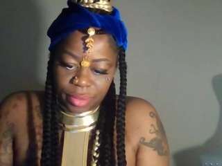 stalliontheesavage webcam