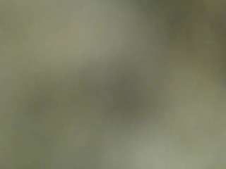 stalliontheesavage webcam